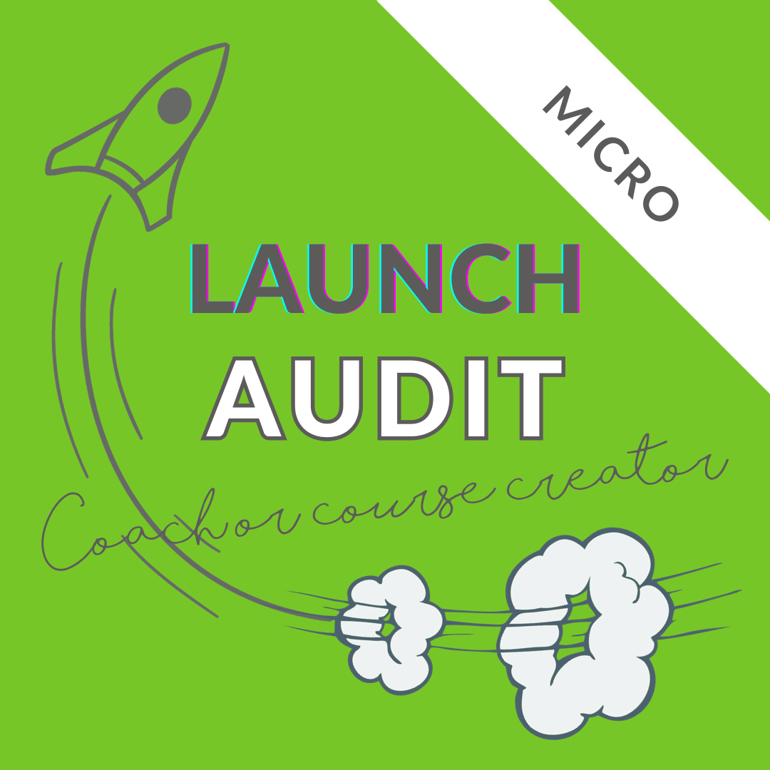 Launch Audit Micro